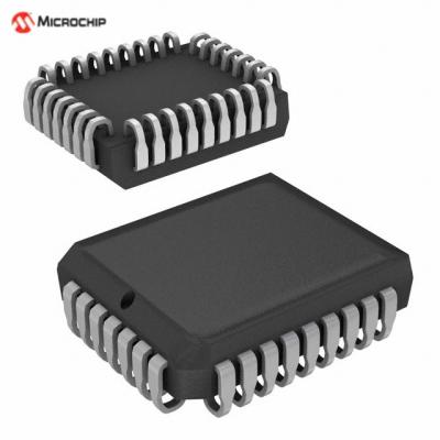 Microchip memory series